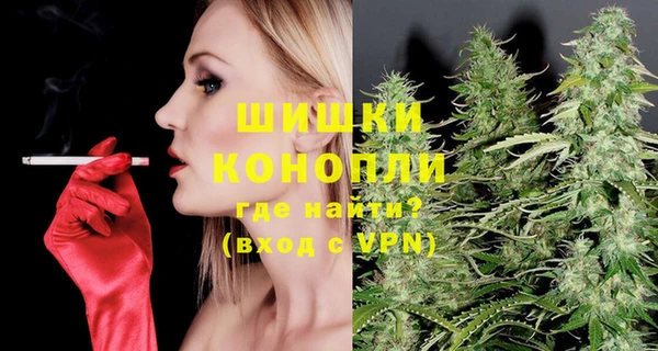 прущие грибы Абдулино