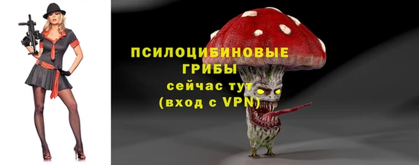 метадон Абинск
