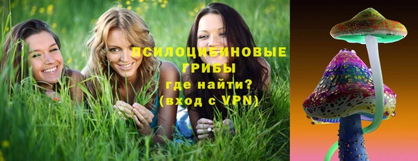 прущие грибы Абдулино