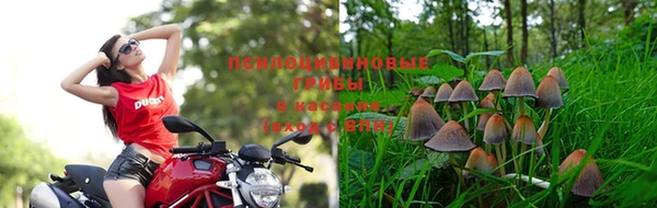 метадон Абинск