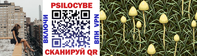 Галлюциногенные грибы мухоморы  Чулым 